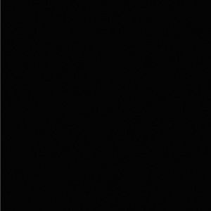 Meet your Posher, Ramon